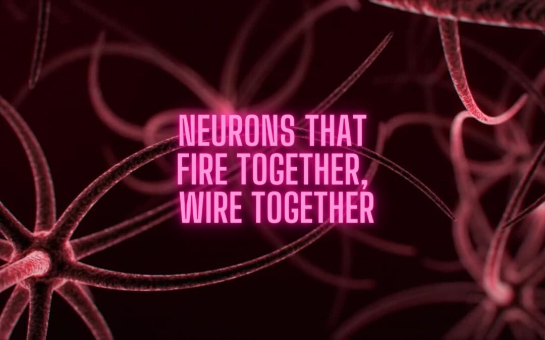 Neurons that fire together, wire together