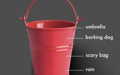 A full bucket