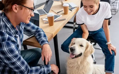Take your dog to work